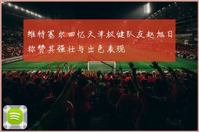 维特塞尔回忆天津权健队友赵旭日称赞其强壮与出色表现